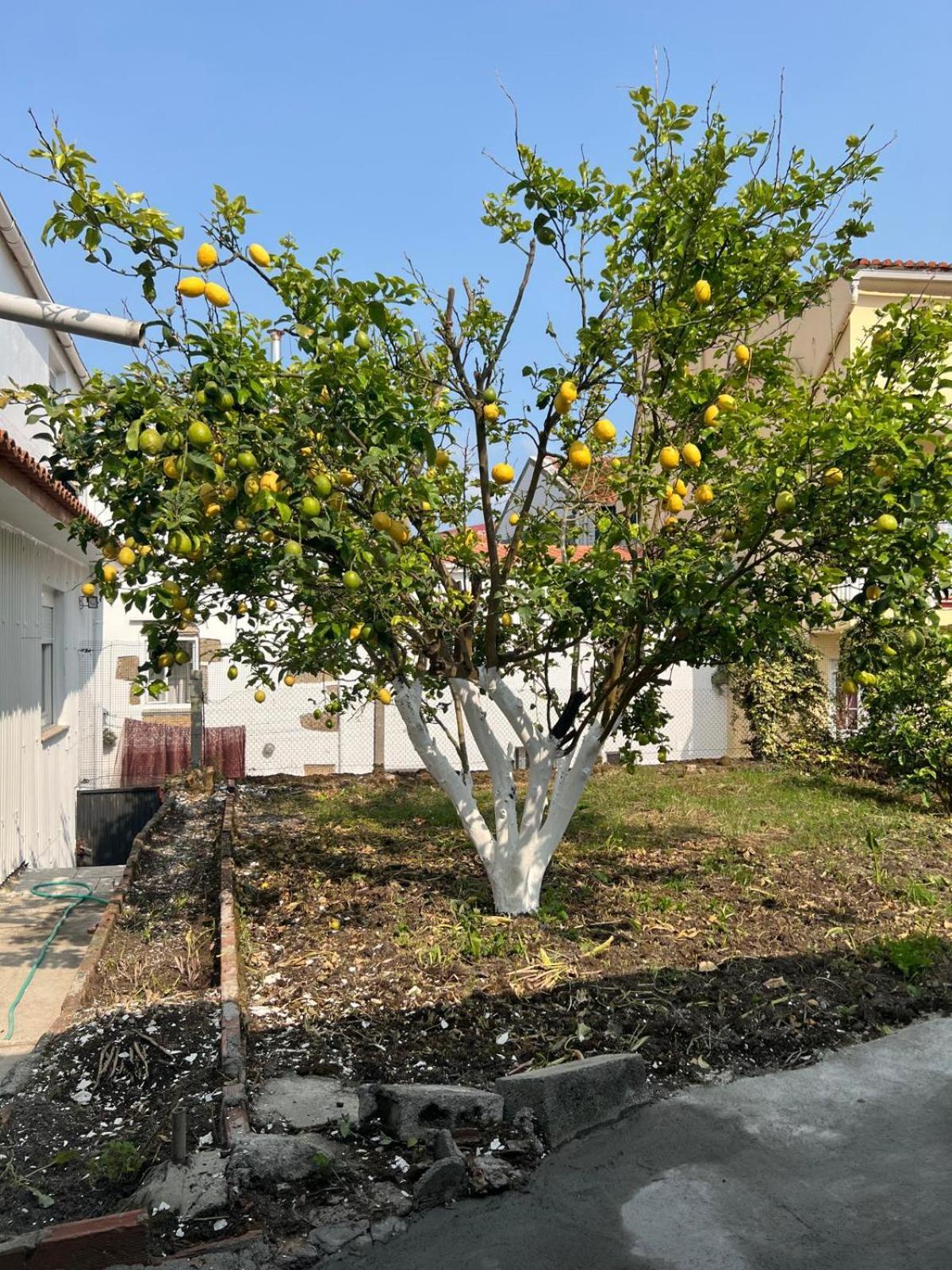 Casa Familiar Con Barbacoa Vila Finisterra Exterior foto